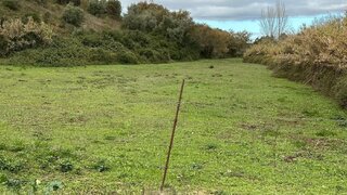 Terreno de 8200 m² em Guarda