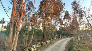 Land for sale in Ponte de Lima, Portugal — €40,000