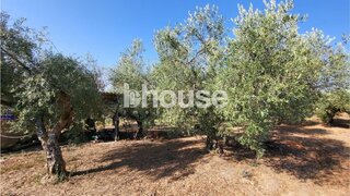 Land for sale in Valpaços, Portugal — €19,000