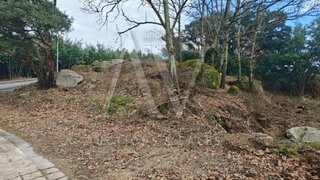 Land for sale in Santa Comba Dão, Portugal — €30,600