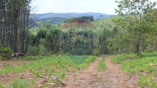 Terreno em Fornos de Algodres
