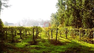 Land for sale in Melgaço, Portugal — €30,000
