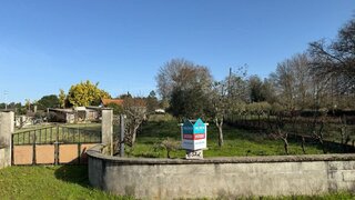 Land for sale in Carregal do Sal, Portugal — €22,500