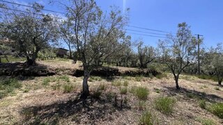 Terreno em Santa Marta de Penaguião