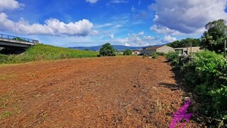 Terreno de 5000 m² em Viana do Castelo