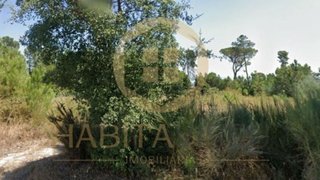 Land for sale in Nelas, Portugal — €40,000