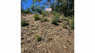 Land for sale in Seia, Portugal — €37,000