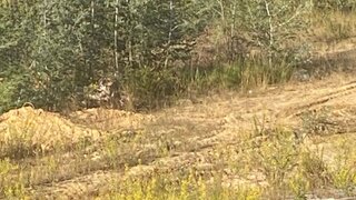 Terreno de 350 m² em Viseu