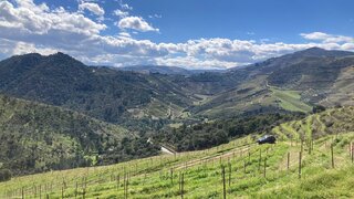 Land for sale in Carrazeda de Ansiães, Portugal — €300,000