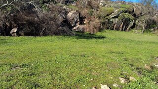 Land for sale in Mirandela, Portugal — €37,000
