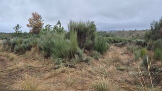 Land for sale in Fornos de Algodres, Portugal — €24,000