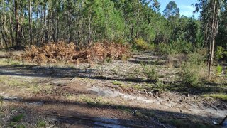 Terreno de 1202 m² em Viseu