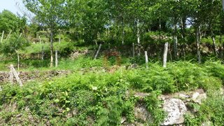 Land for sale in Melgaço, Portugal — €15,000