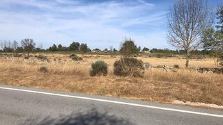 Land for sale in Almeida, Portugal — €80,000
