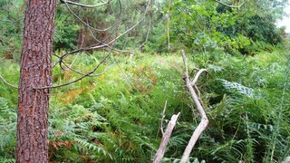 Terreno · 950 m² · 30 000 €