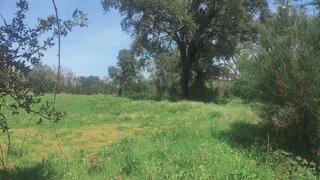 Terreno em Chaves