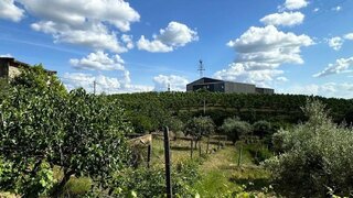 Land for sale in Vila Flor, Portugal — €50,000