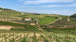 Land for sale in Alijó, Portugal — €290,000