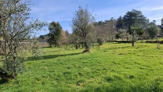 Terreno · 3290 m² · 32 000 €