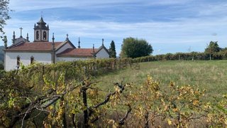 Land for sale in Resende, Portugal — €19,000