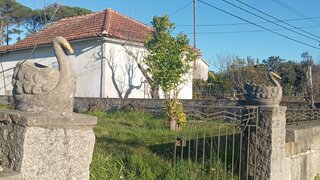 Land for sale in Nelas, Portugal — €22,000