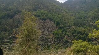 Terreno em Tabuaço