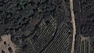 Terreno em Carrazeda de Ansiães