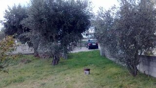 Land for sale in Mangualde, Portugal — €80,000