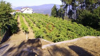 Terreno · 3200 m² · 50 000 €