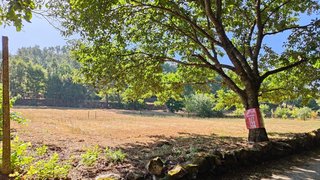 Land for sale in Sernancelhe, Portugal — €15,000