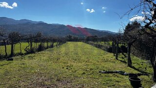 Land for sale in Arcos de Valdevez, Portugal — €30,000
