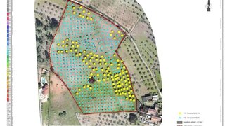 Land for sale in Mirandela, Portugal — €70,000