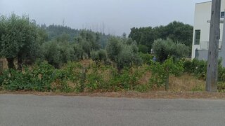 Land for sale in Santa Comba Dão, Portugal — €27,001