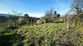 Land for sale in Paredes de Coura, Portugal — €35,000