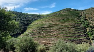 Land for sale in São João da Pesqueira, Portugal — €997,000
