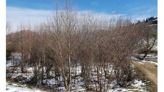 Land for sale in Montalegre, Portugal — €12,000