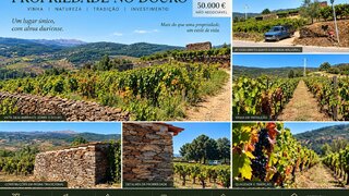 Land for sale in Alijó, Portugal — €50,000