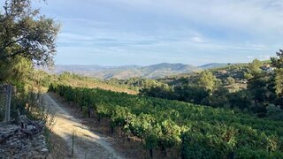 Land for sale in Alijó, Portugal — €37,500