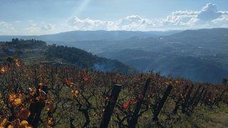Terreno em Armamar