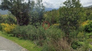Terreno · 20 000 m² · 6500 €