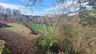 Land for sale in Santa Comba Dão, Portugal — €29,000