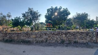 Land for sale in Mangualde, Portugal — €18,900