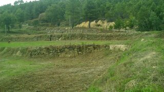 Terreno de 21 000 m² em Guarda