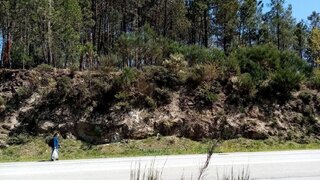 Land for sale in Vila Nova de Paiva, Portugal — €25,500