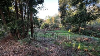 Land for sale in Caminha, Portugal — €120,000