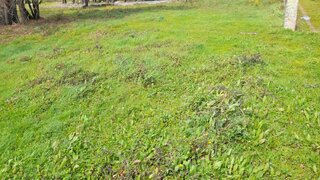 Land for sale in Seia, Portugal — €35,000