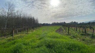 Land for sale in Ponte de Lima, Portugal — €7,900