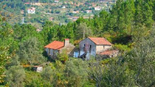 Terreno para venda em Cinfães, Portugal — 255 000 €