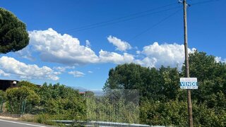 Terreno para venda em Carregal do Sal, Portugal — 27 500 €