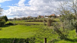 Land for sale in Santa Comba Dão, Portugal — €23,700